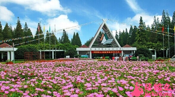 国内适合蜜月旅行的海岛